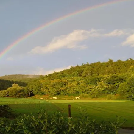 Spacious In Hesse Near The Forest