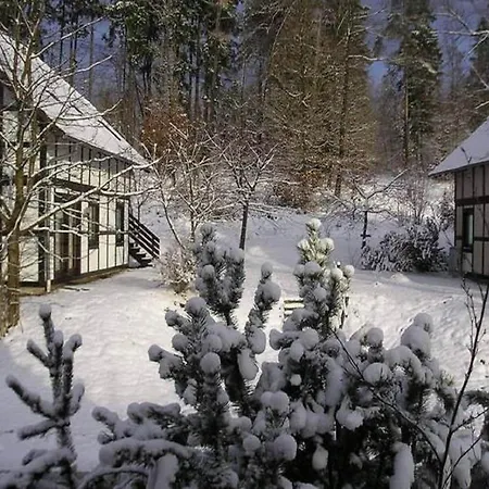 アパート Spacious In Hesse Near The Forest Frankenau