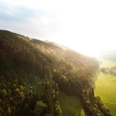 Spacious In Hesse Near The Forest *