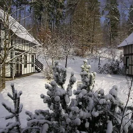 Spacious In Hesse Near The Forest Appartamento *